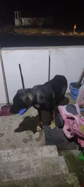 274273939 370739164558951 8593367655439633540 n