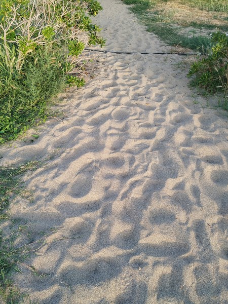 281832455 4777467999031735 3931413953484743103 n