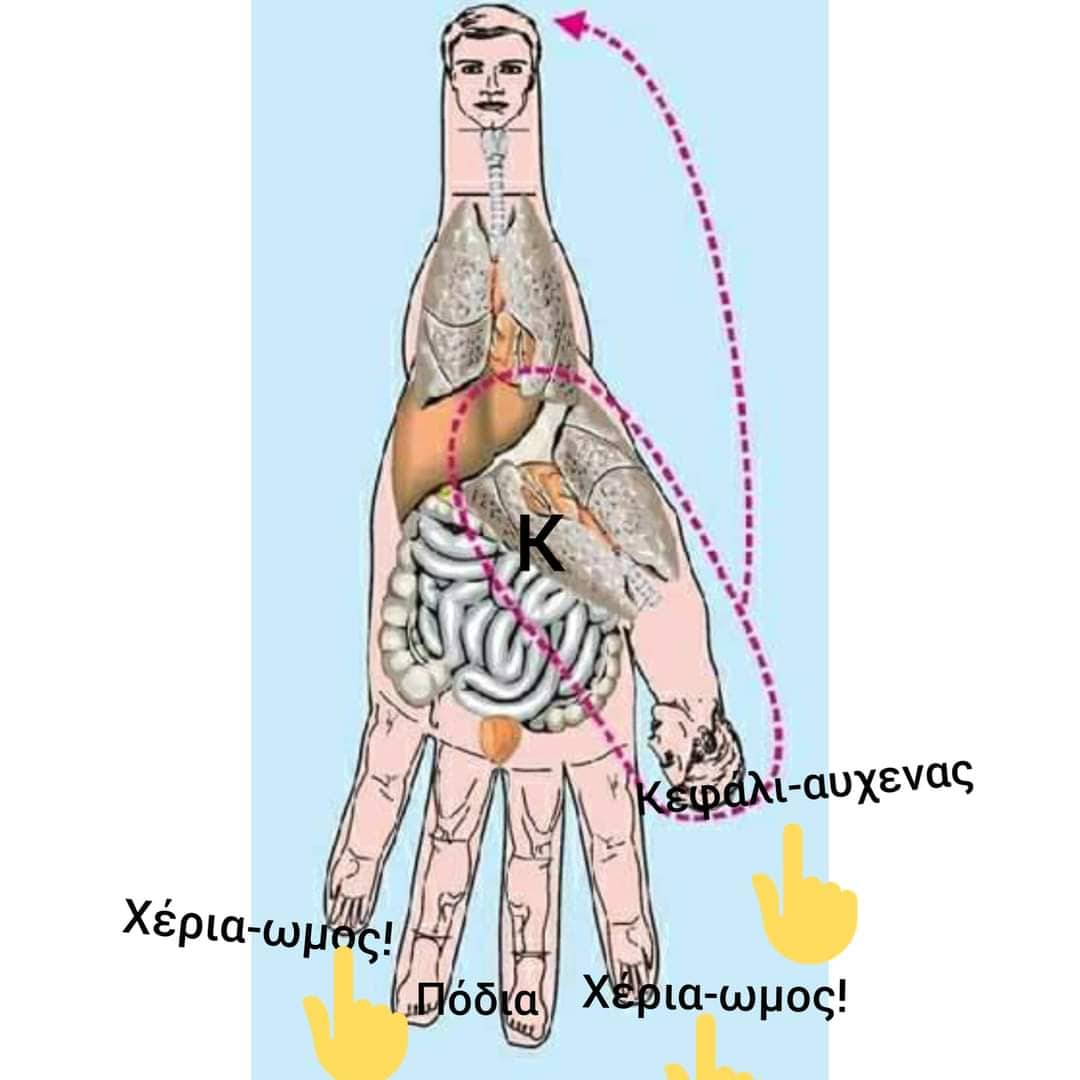 284002032 1149851978920159 28298336105381735 n