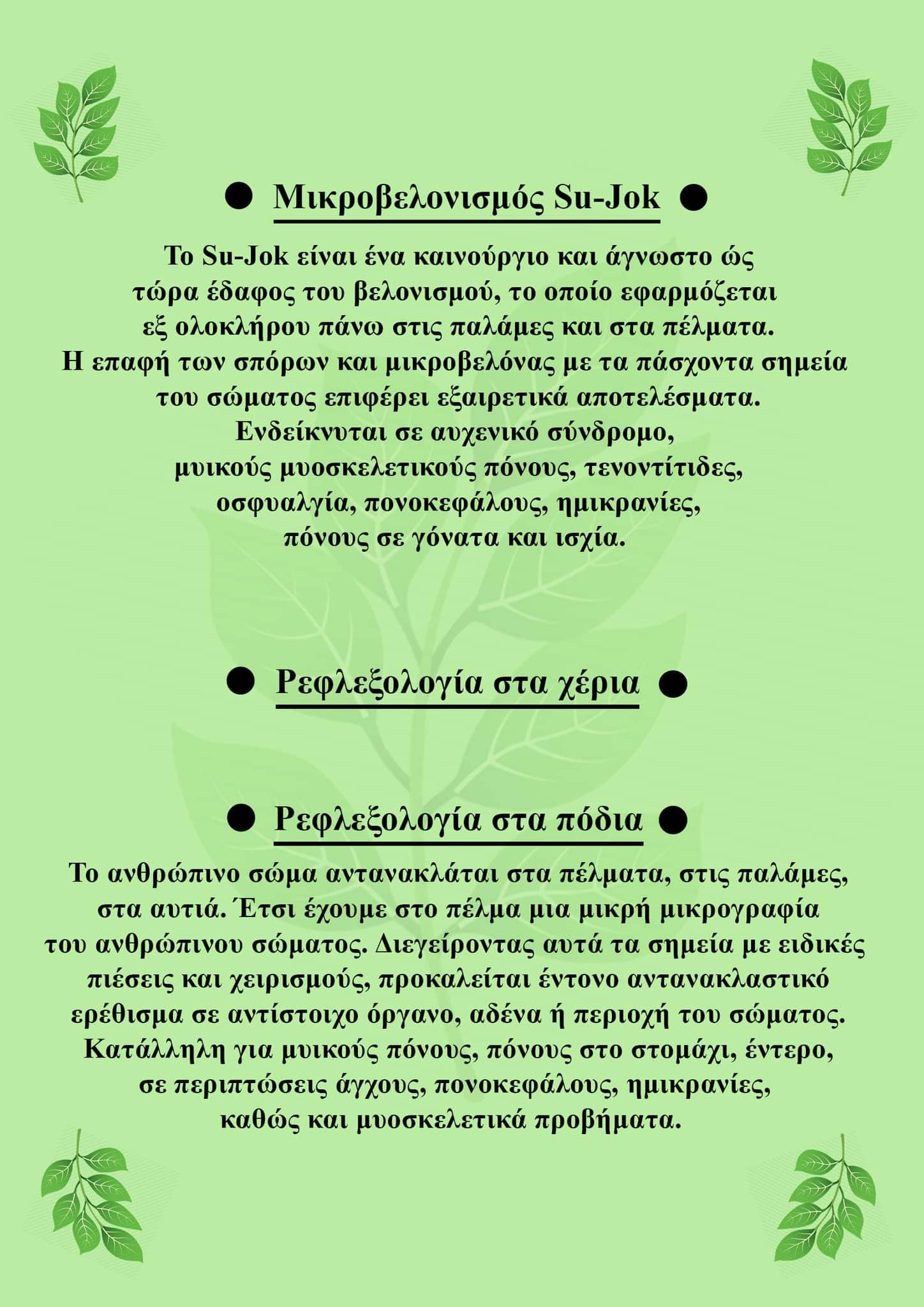 288749661 361953926021308 8754771775030013475 n