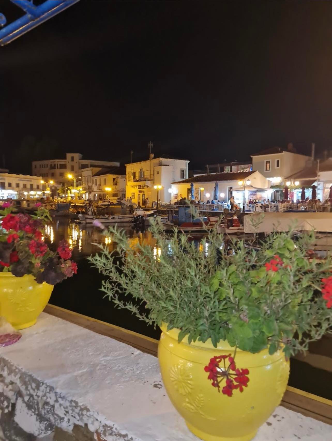 289857705 598698228571075 4236462512311569932 n