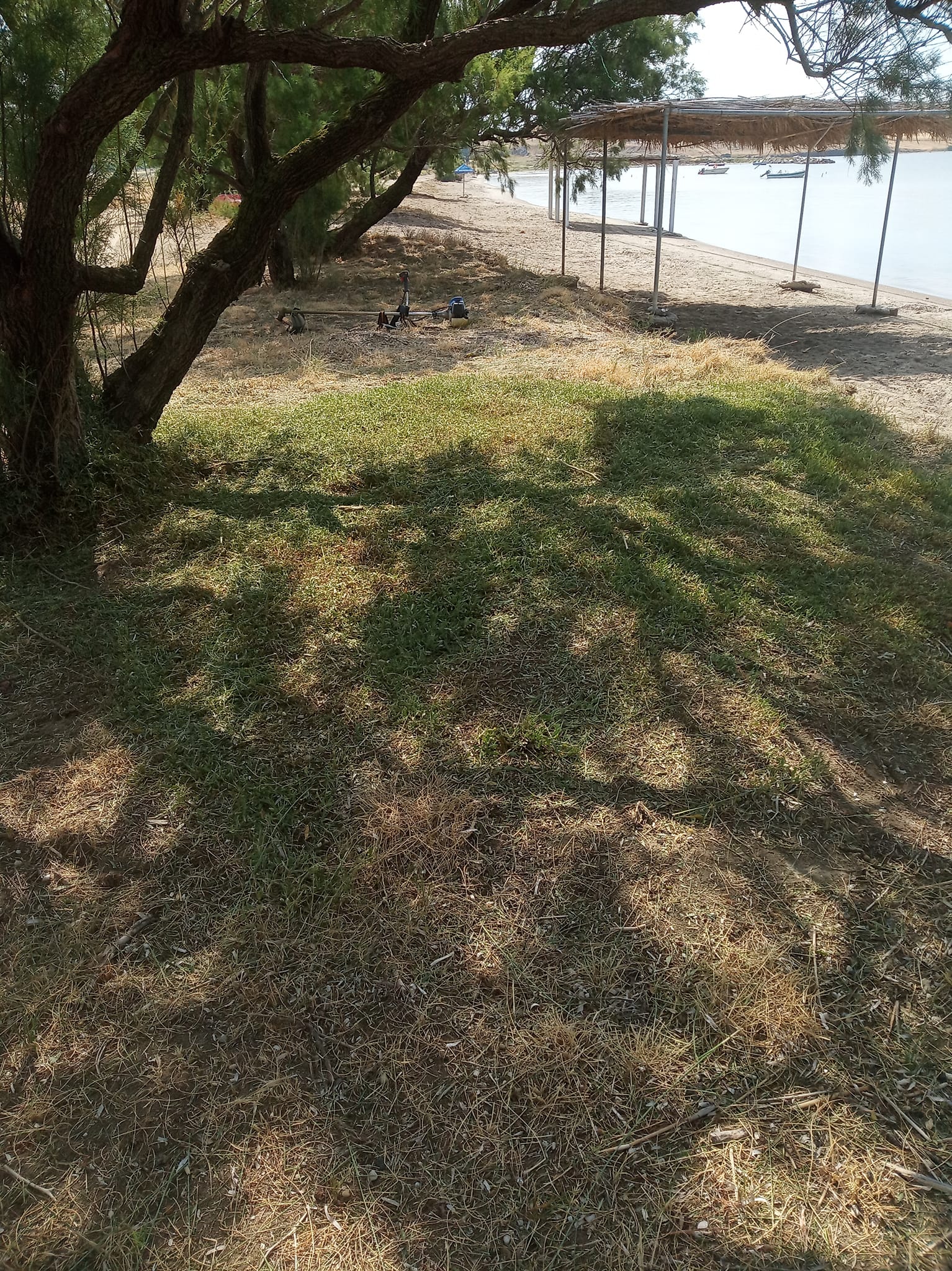 290023172 791838488894860 8993335791088812250 n