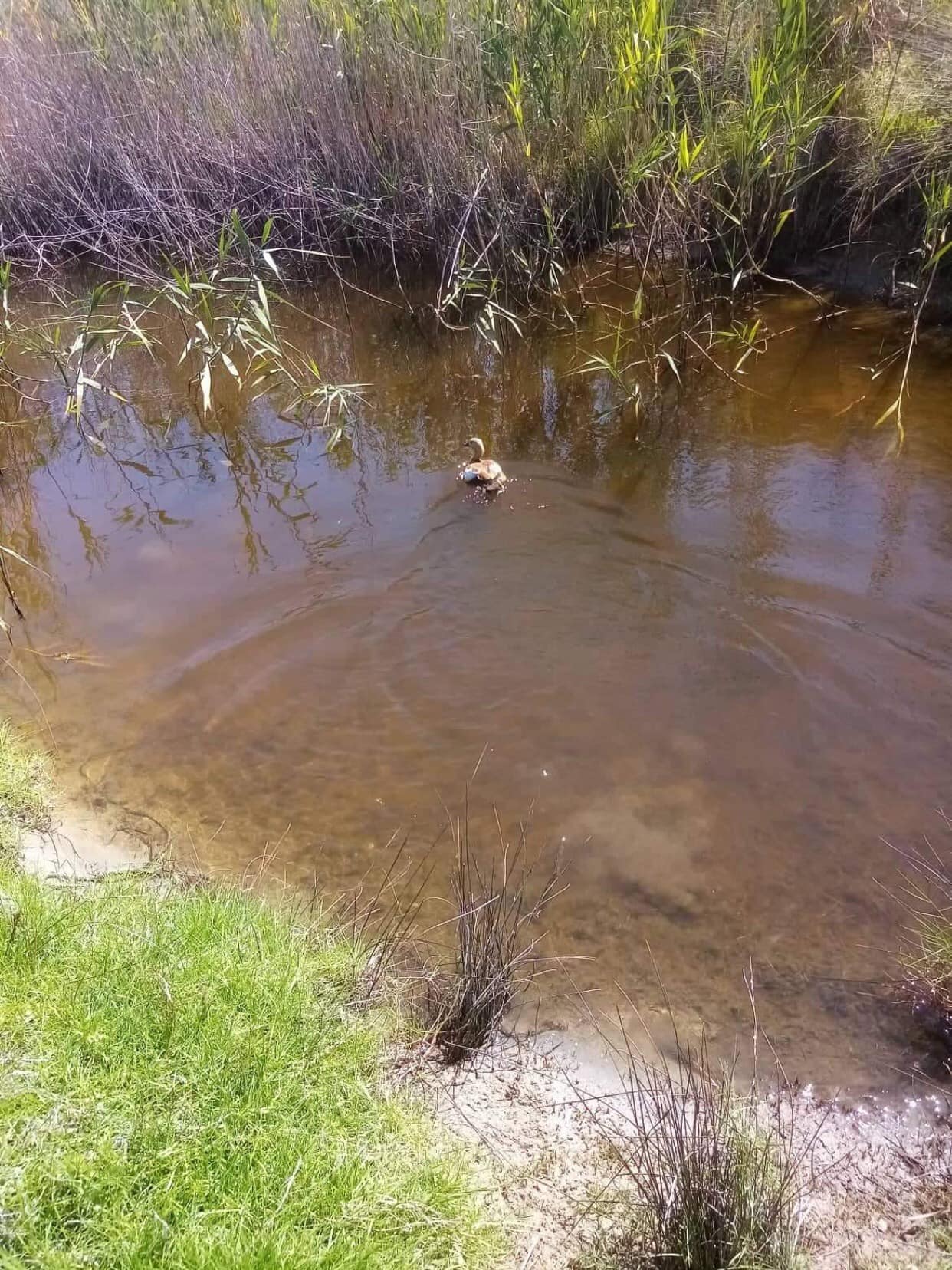 290174765 5312342738852151 5243648285236522501 n