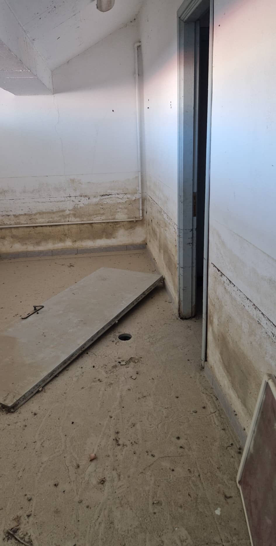 290895642 726974431894928 5394491208500451596 n