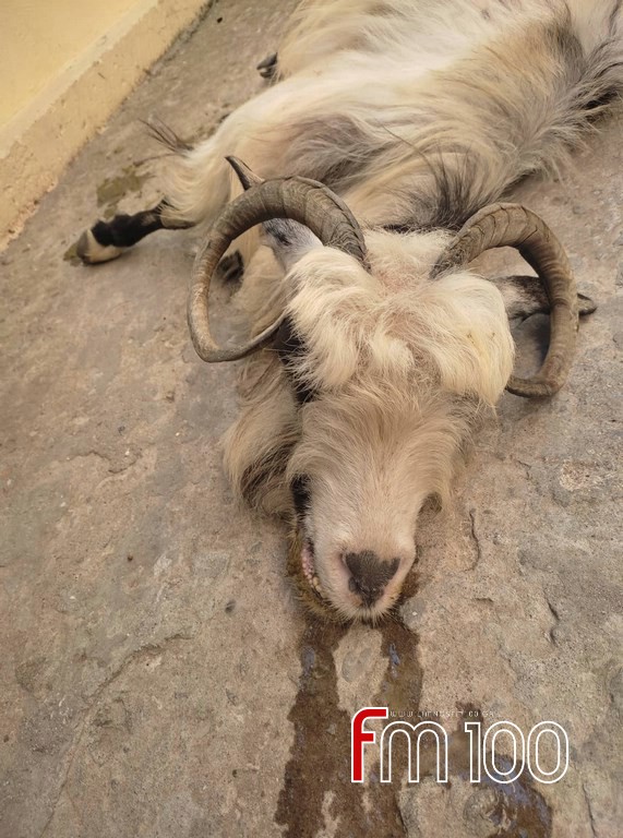 305466675 453486126823531 2428691040918638157 n