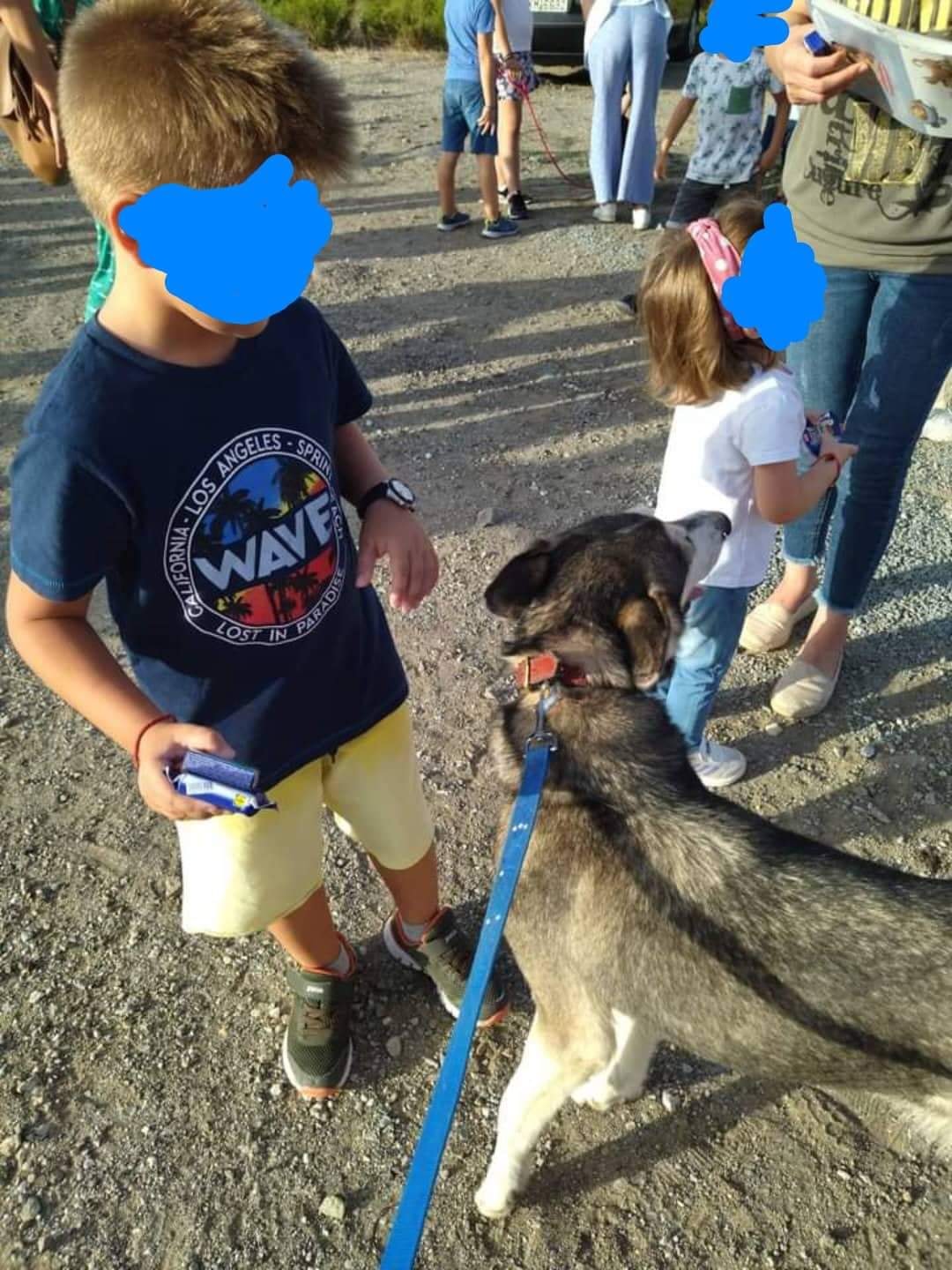 310232397 463552062476030 869362387140505852 n