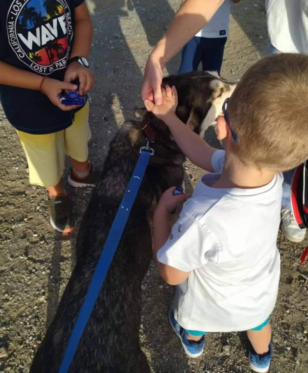 310378288 463552122476024 5560538058211429746 n