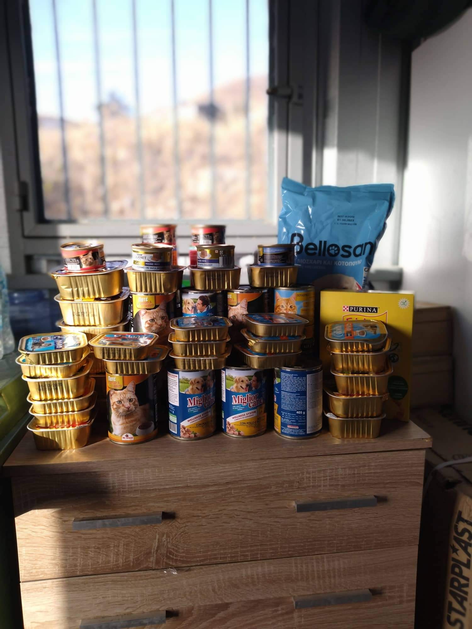 310398869 463552189142684 7396123489446333024 n