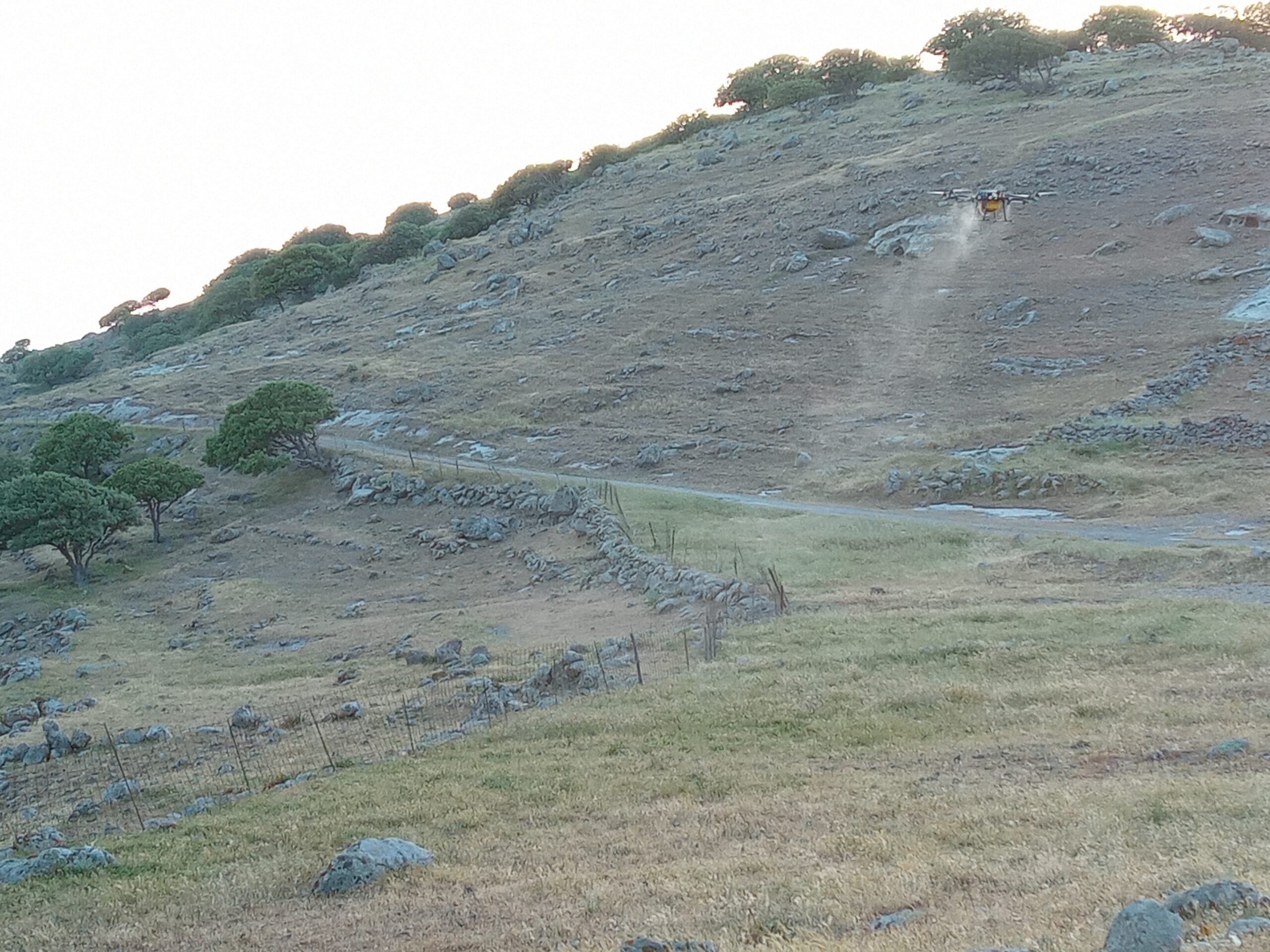 A32F95E8 9096 450A B75B 26B4C372DF4A scaled