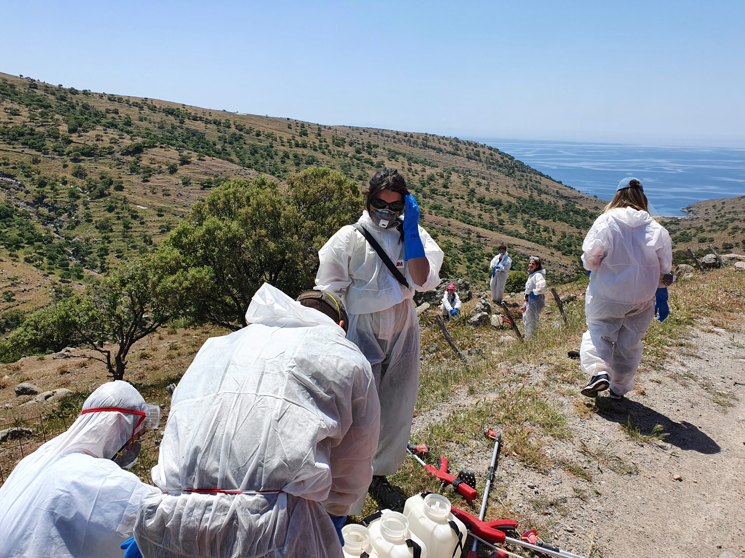 C7136A1F F435 4F2D AE56 59EF01AEBE23 scaled