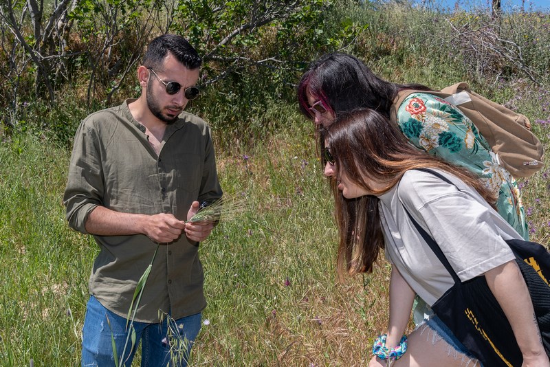 Lemnos Philema 2022 photo by Pantelis Pravlis Salamousas Agrifood 5