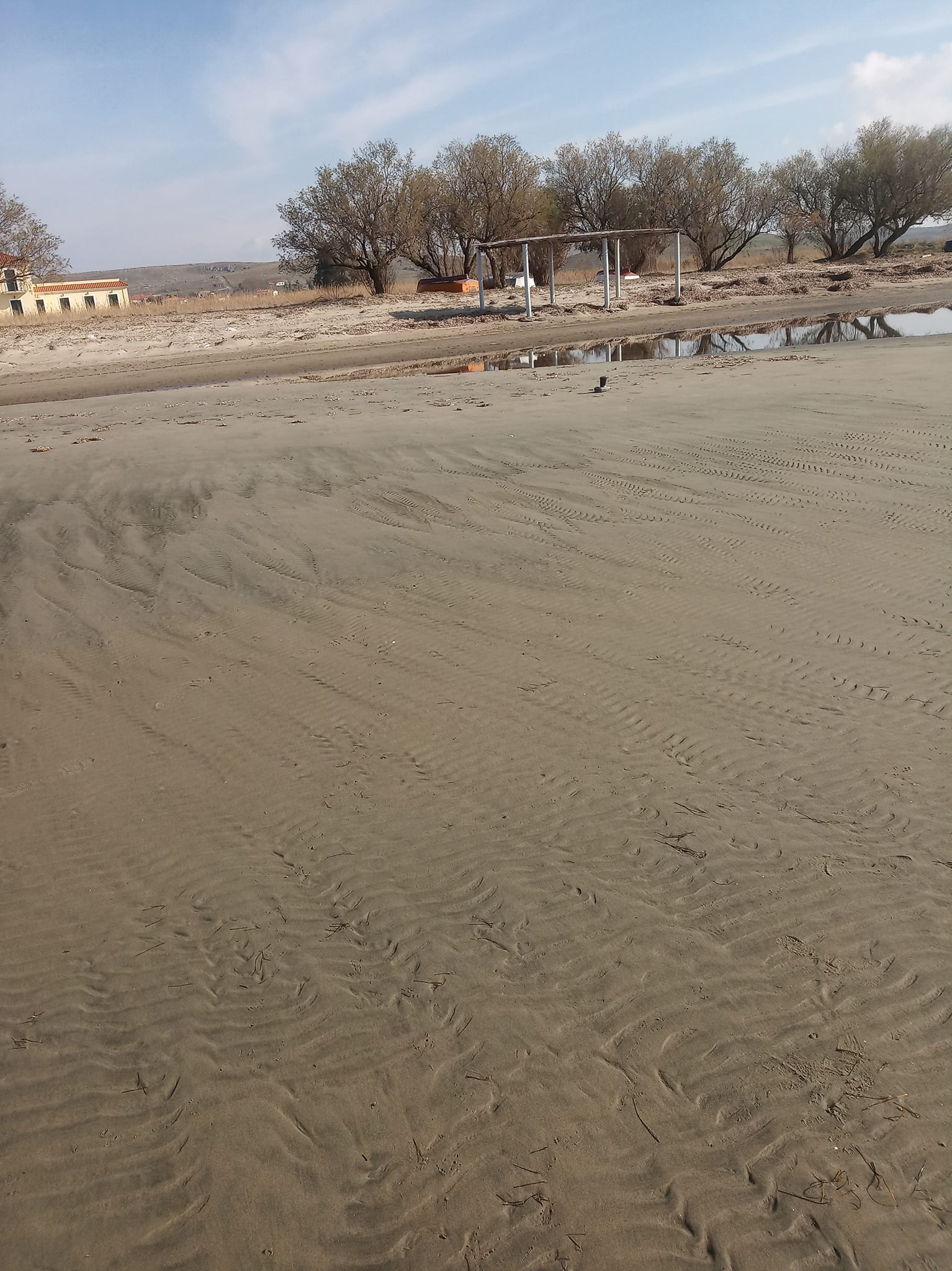 332068711 2063317300726434 858677826553251506 n