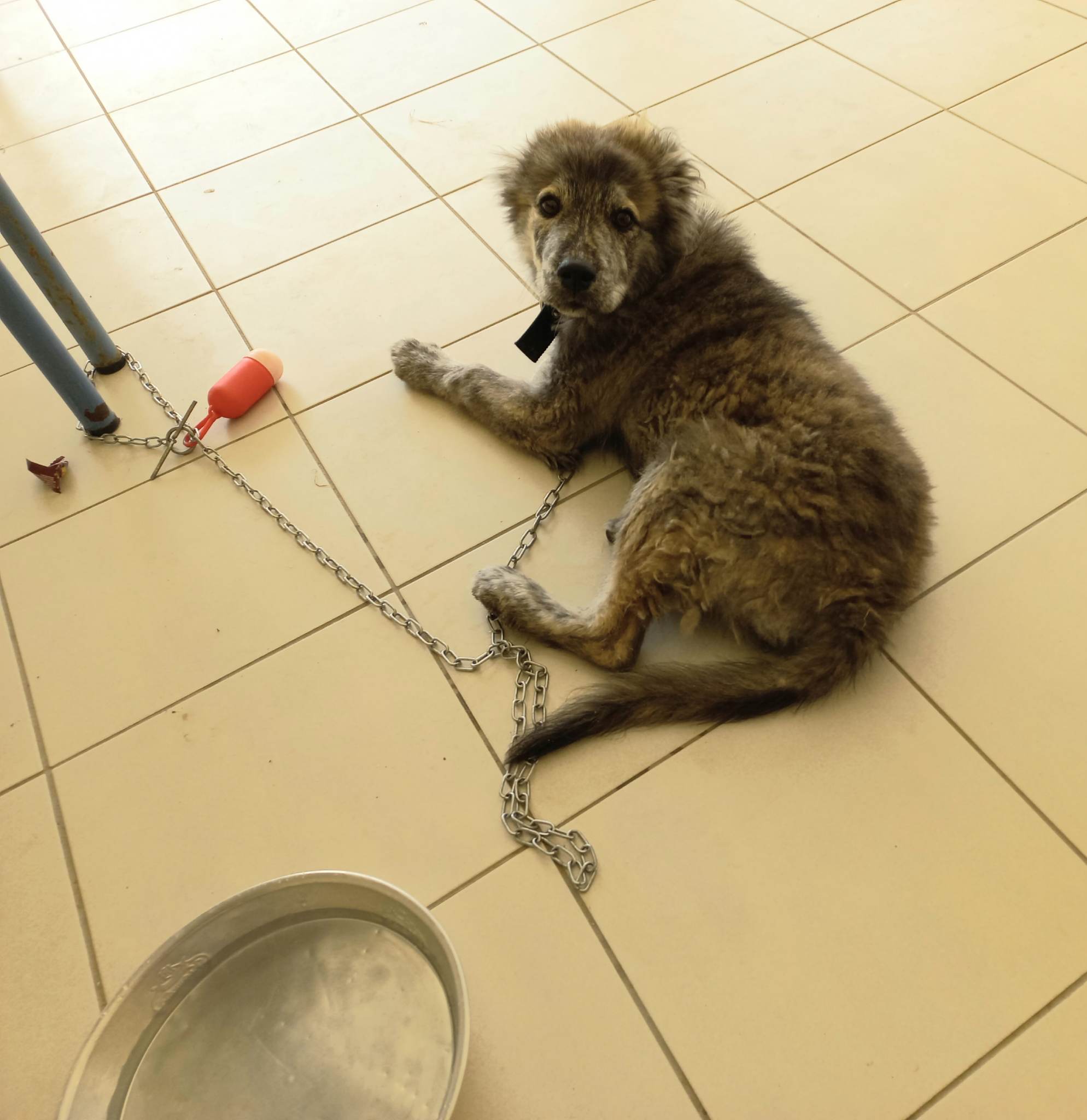 343926443 531648465604915 7456428525506695942 n