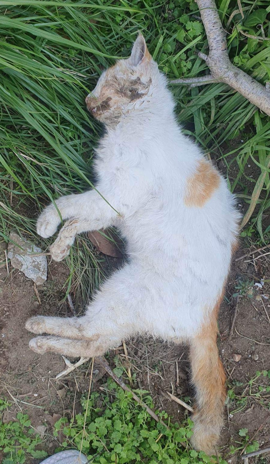 received 5892494854164262