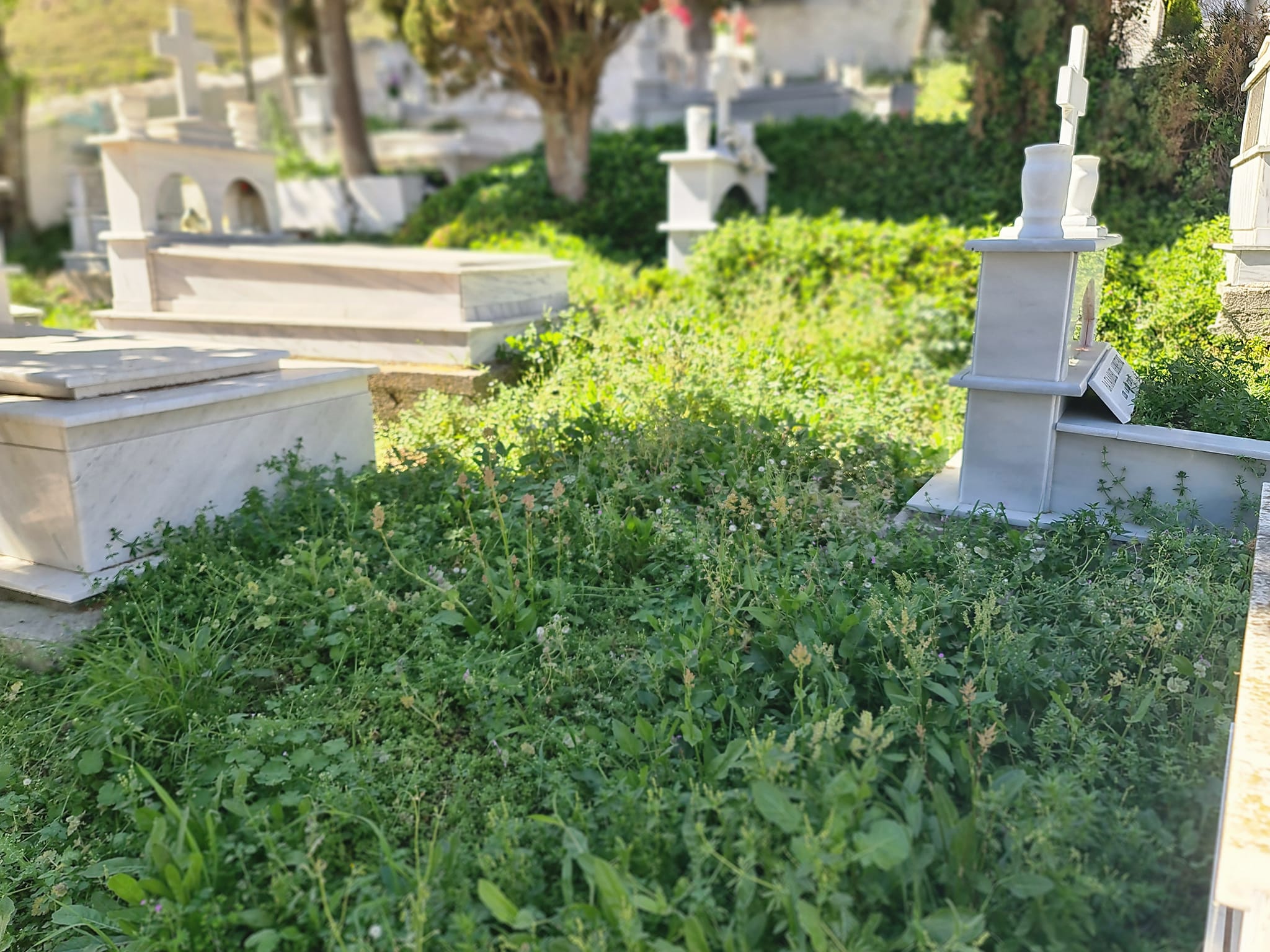 420202252 7355273547852980 5147251615280911986 n