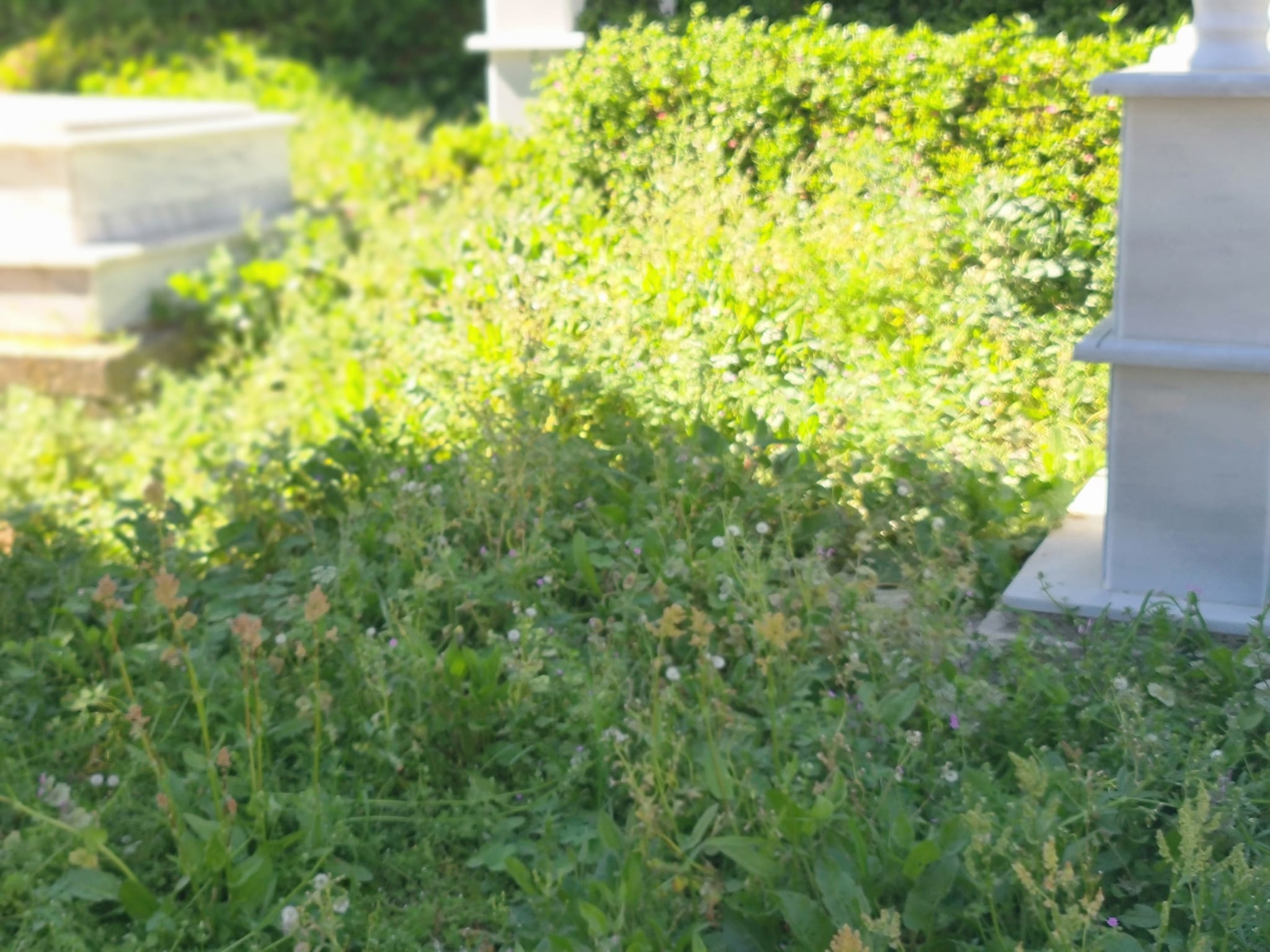 420496861 7355273781186290 1141216707632114088 n