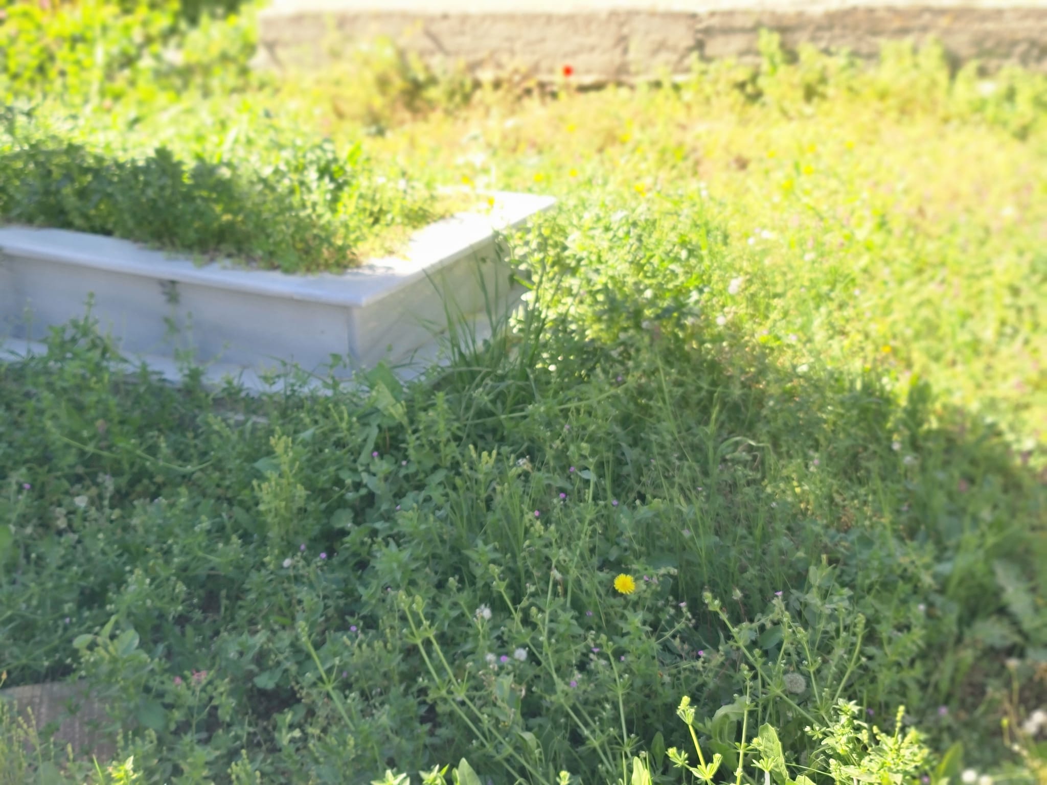 420726321 7355273321186336 2385436817290112402 n