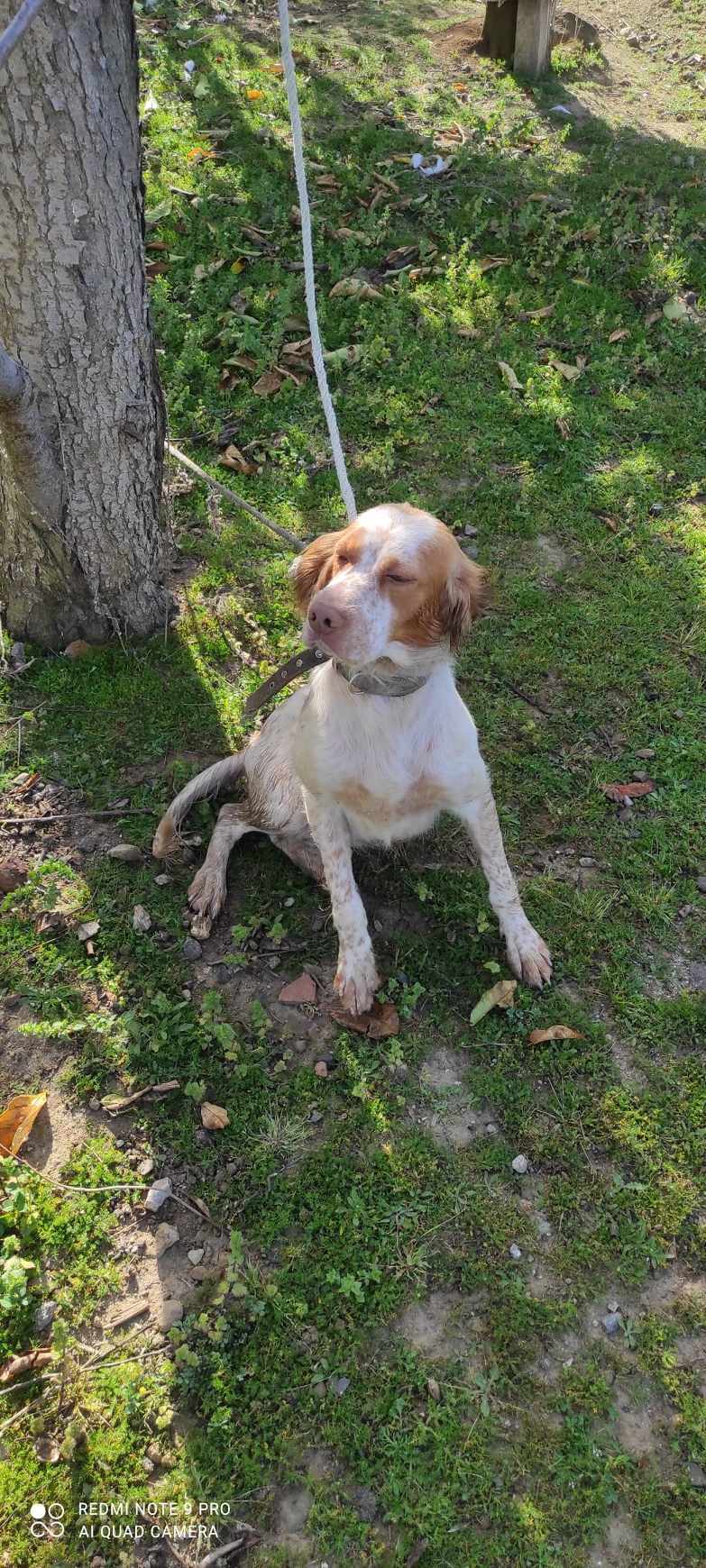 576fffed b9f8 46e5 90cb 69d0ce4e4952