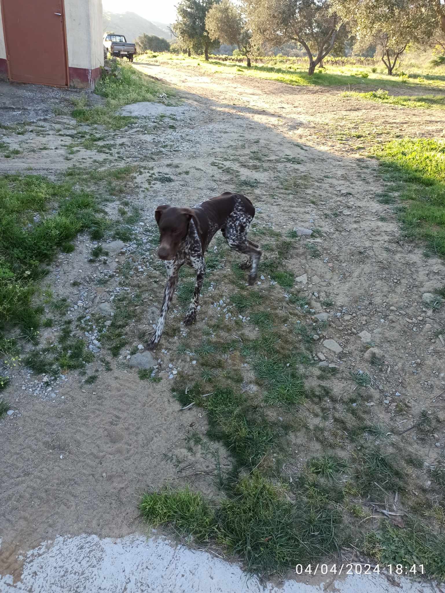 b8eab88a 92b9 4585 a96e ef51f70ad708