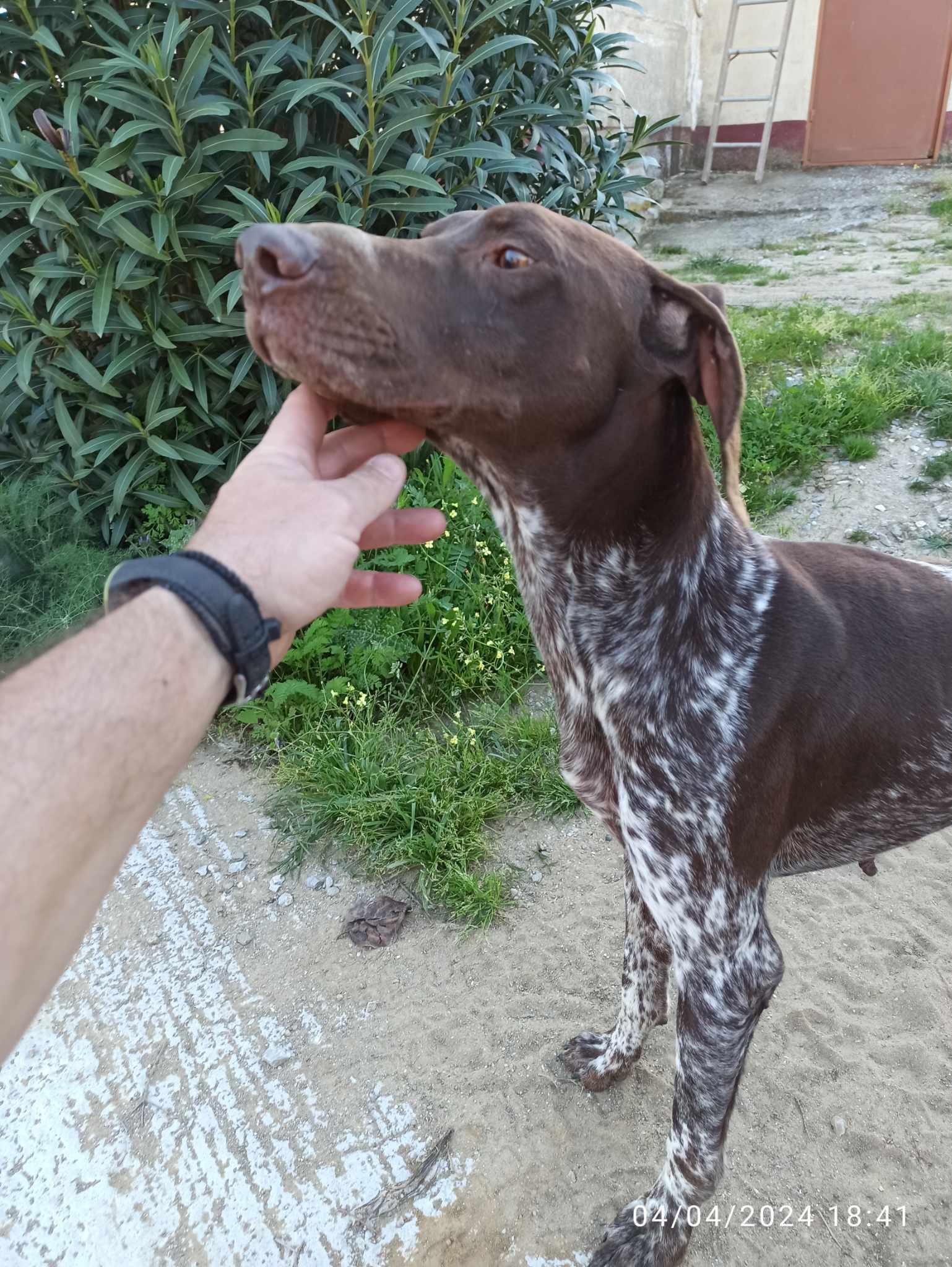 f133b466 0723 4c9a b9f1 7085b4aff980