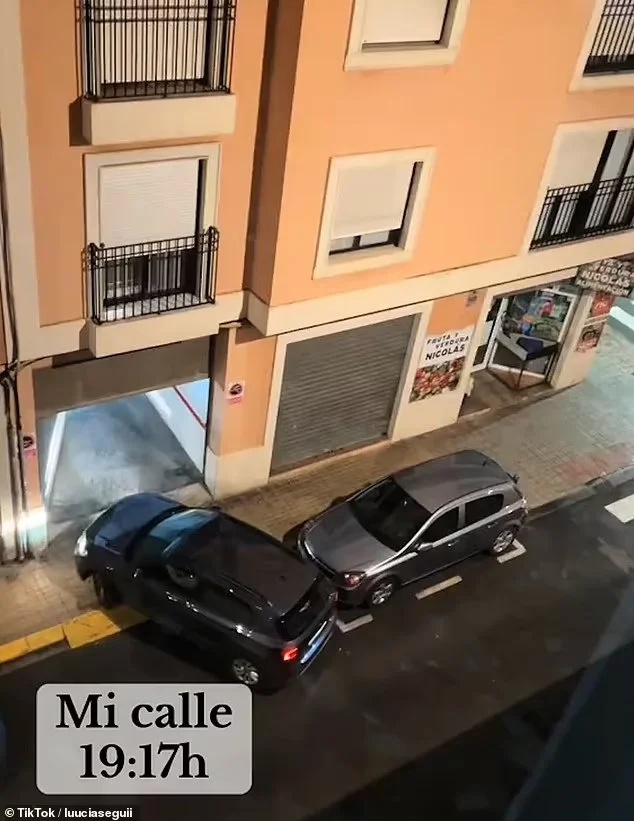 valenthia plimmira dromoi11