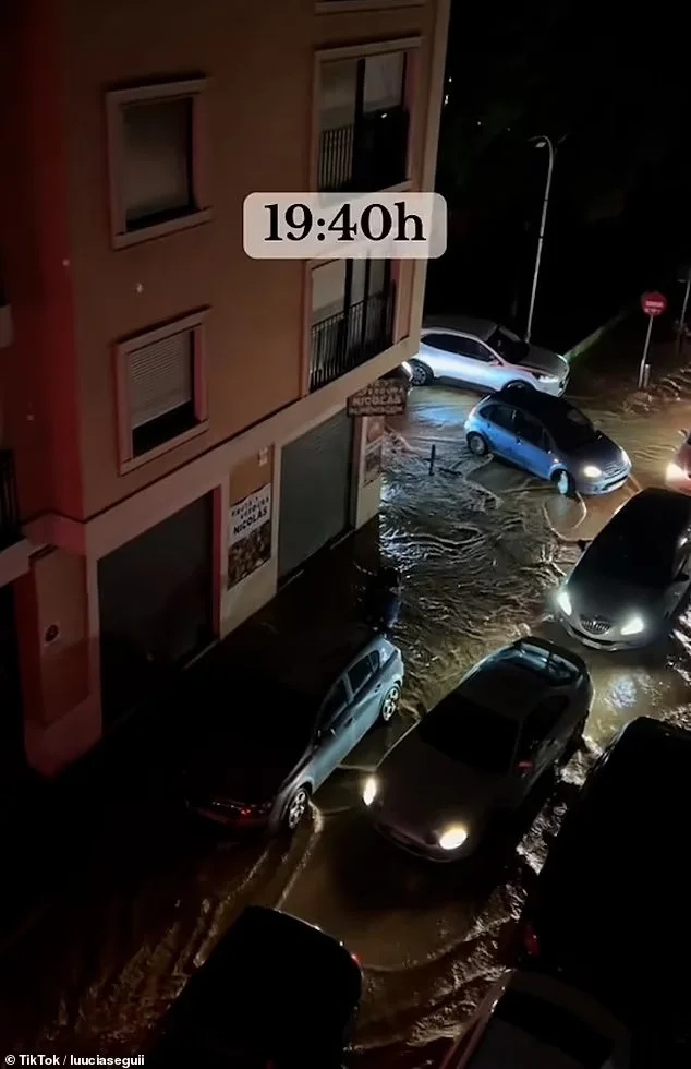 valenthia plimmira dromoi22