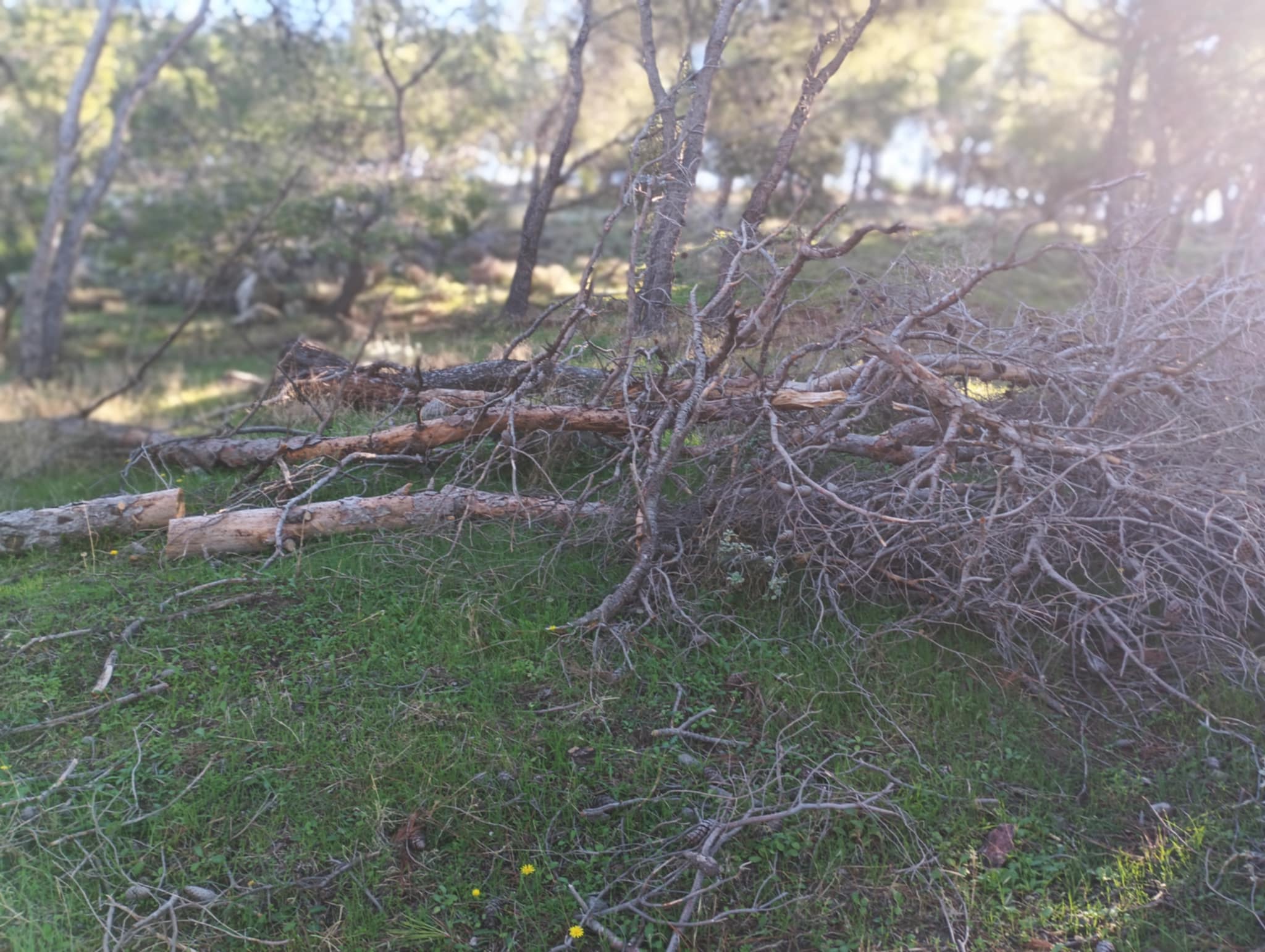 0ba04829 aa42 41b5 80a2 1cf06e6b4d39