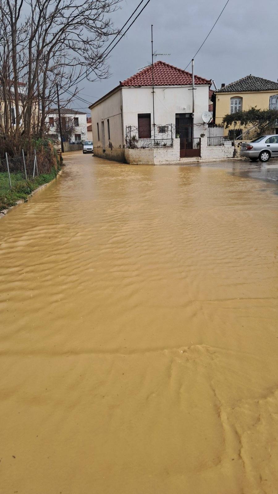 481817141 2828364050676091 1903648065915208353 n