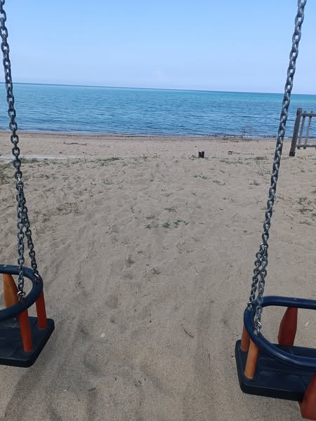 493326449 1196031972011619 3796732986817859250 n