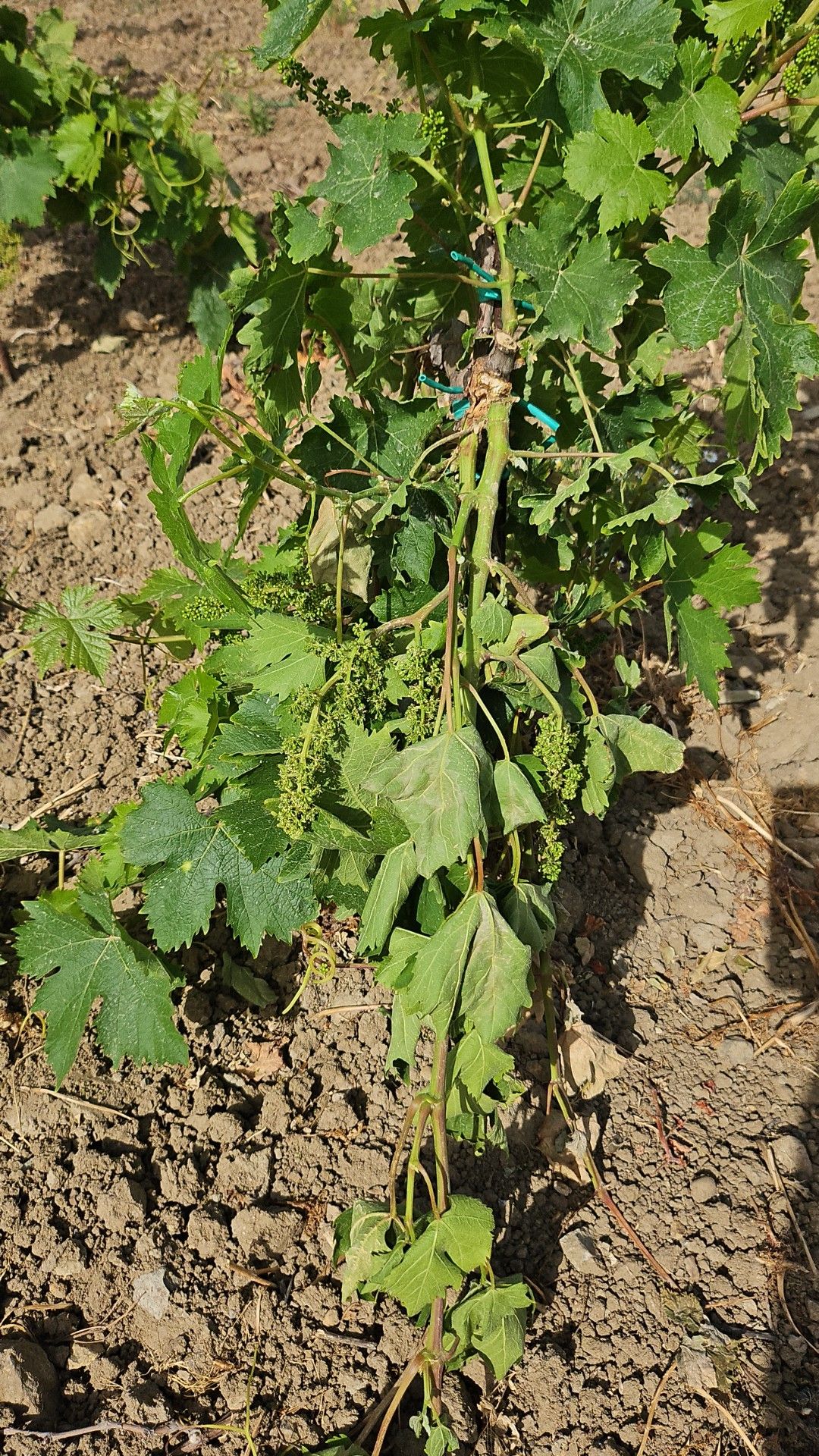 499697691 10162551383058399 4806275894687134919 n