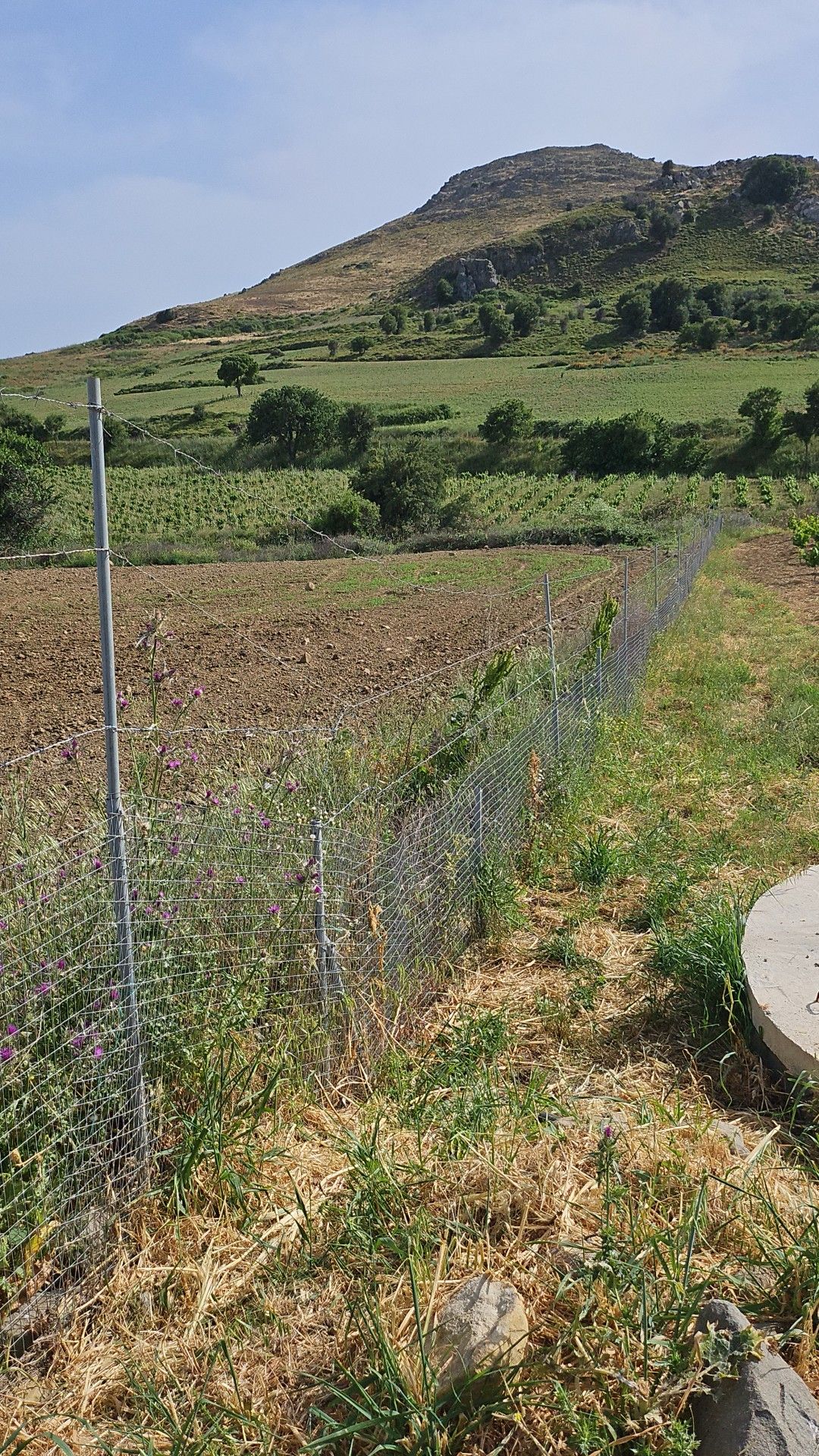 500493562 10162551376718399 2077621487734666002 n