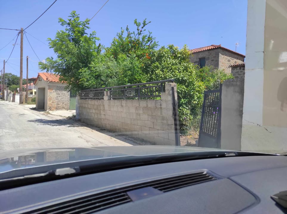 503616185 1293080559122621 8490012492202277876 n