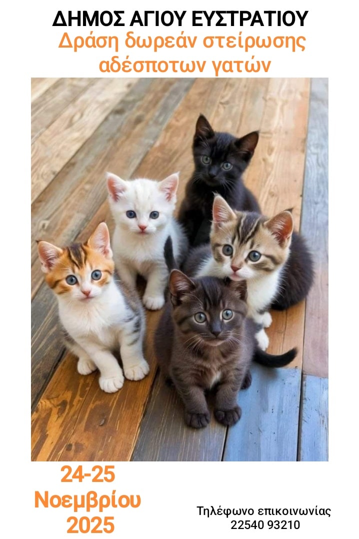 587413633 1148010394171965 789818026694005385 n