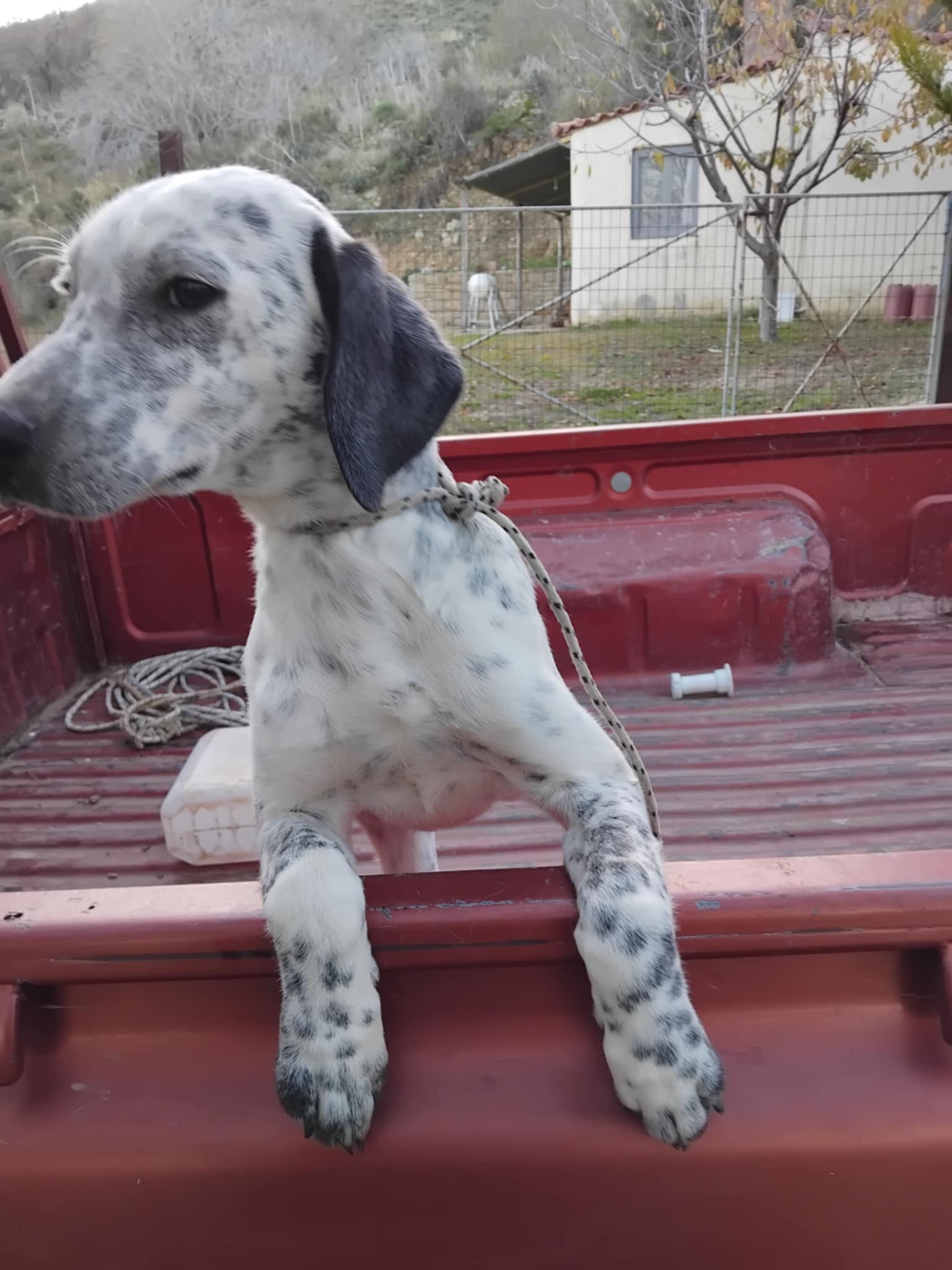 68590fa7 eedc 483a 82f5 8b4020b81956