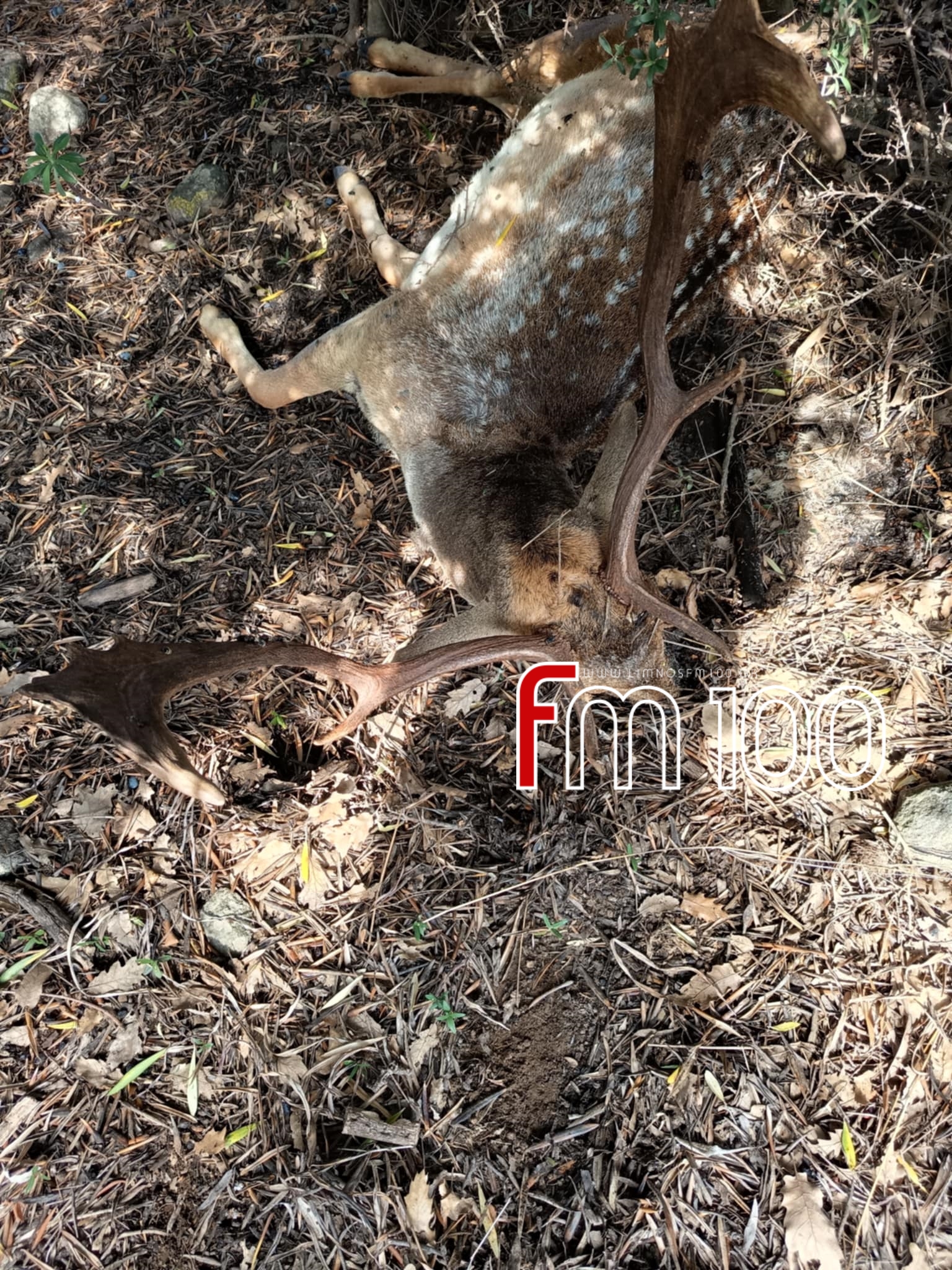 e217897a 57ad 4c06 8698 151d013279b1