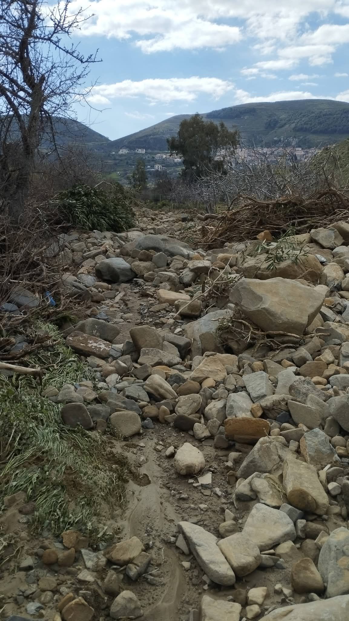 661625996 5035205866799095 4743977763690965759 n