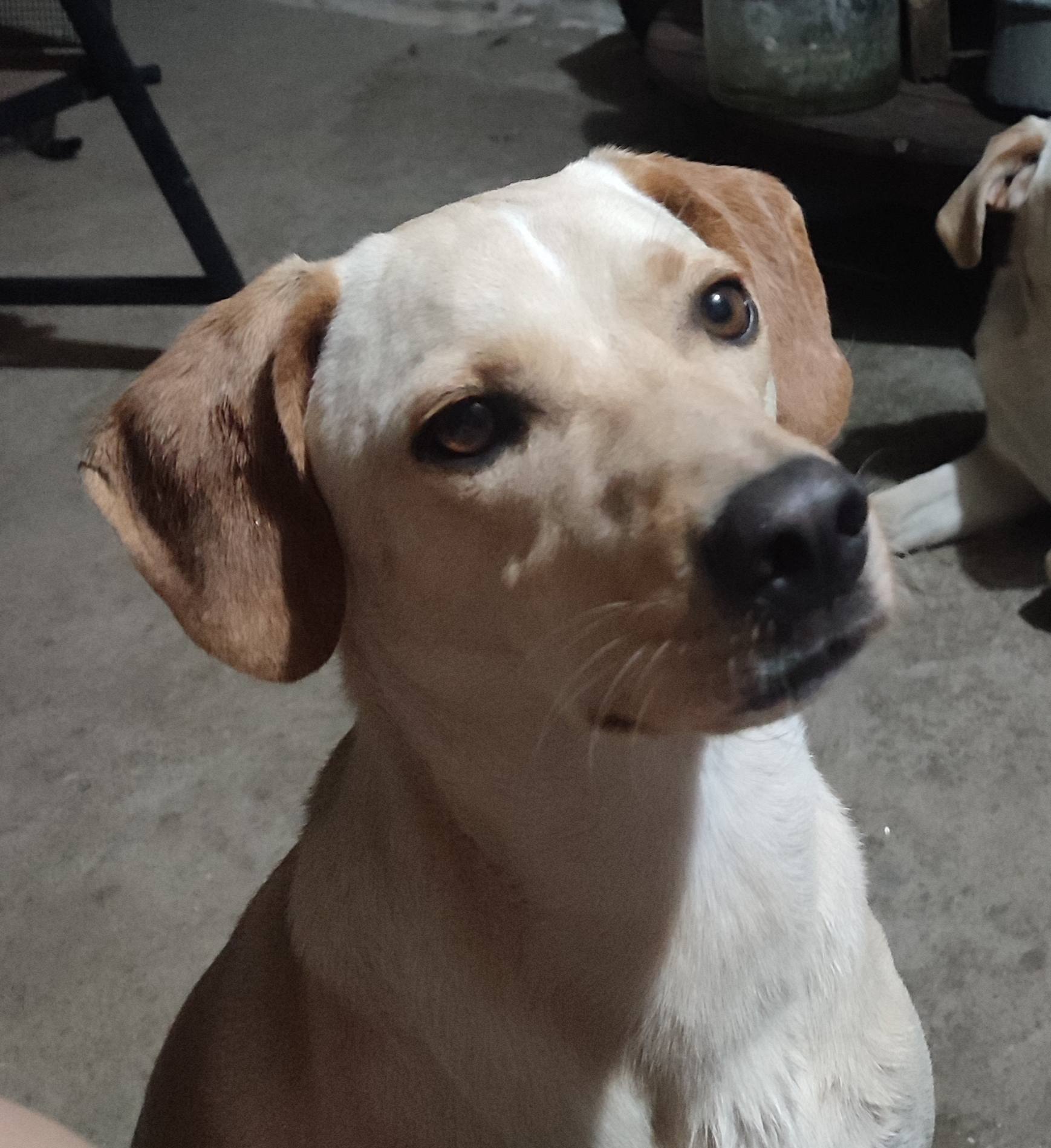 669660386 10174314163525483 5950921714557660651 n