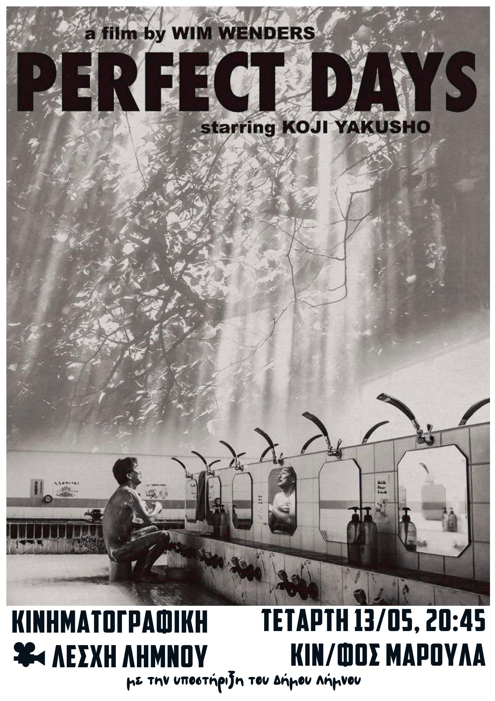 Perfect Days Poster
