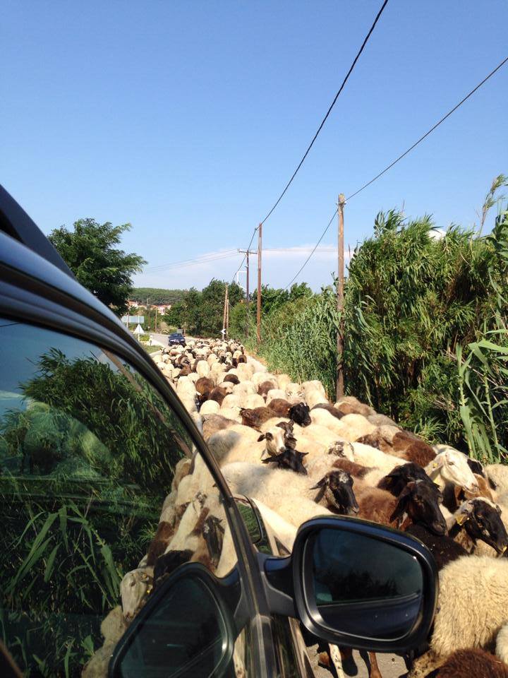 10533108 879919372036051 6852924607592170586 n