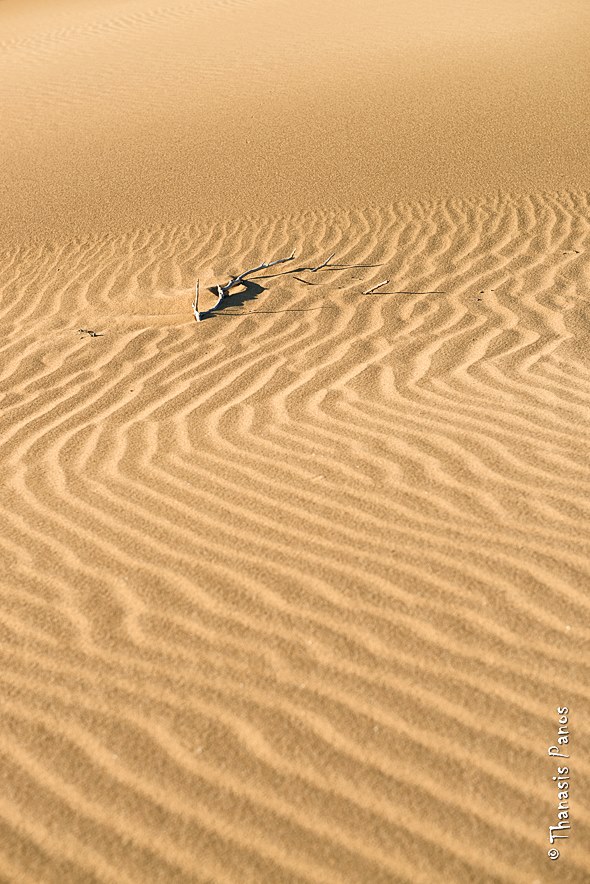 10592439 743627035697161 1807257711 n