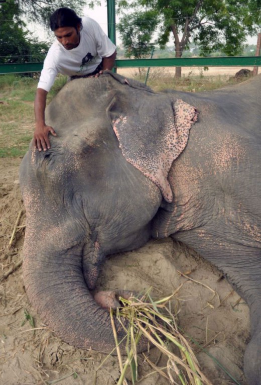 692515 raju1