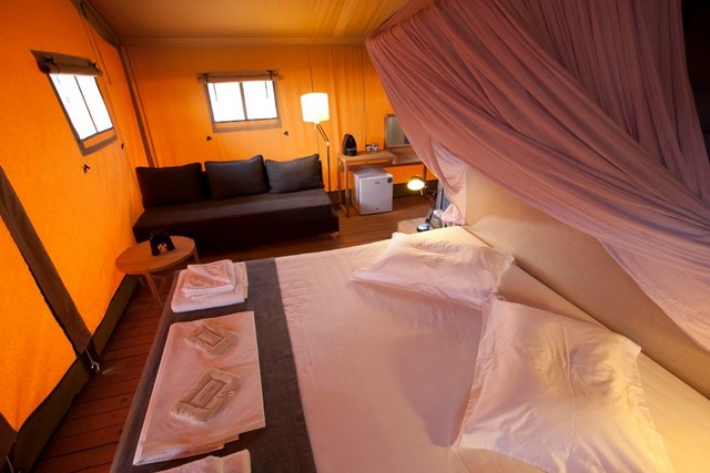 luxury-in-6-Custom-960x640