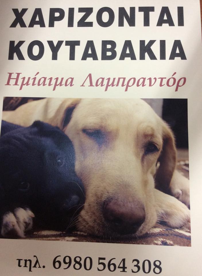 10743429 1535789763325071 692264204 n