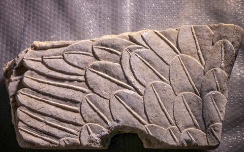 newego LARGE t 1101 54415640 type12128