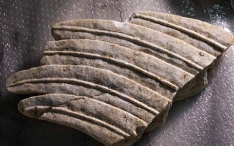 newego LARGE t 1101 54415641 type12128