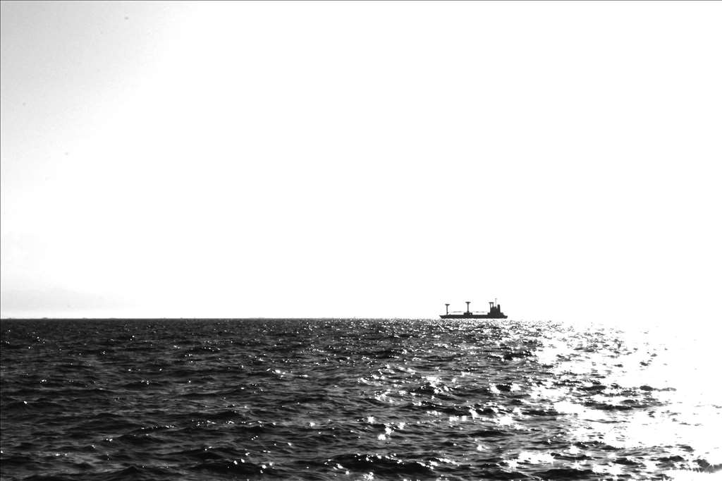 074ad898-c779-44c3-87cd-cf8a90242c8b