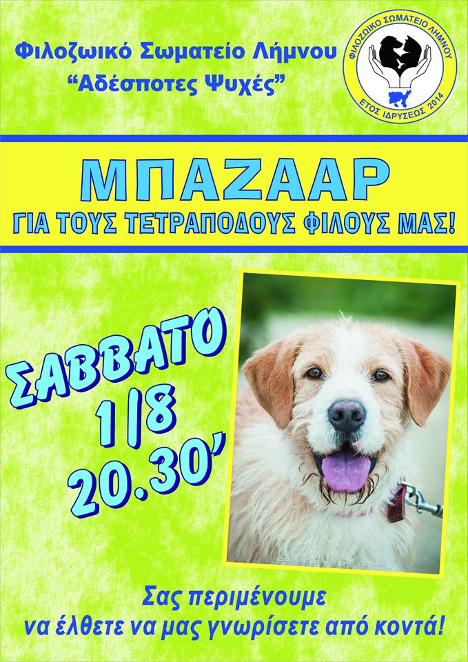 11800120 1667281643492651 5007281892078435074 n