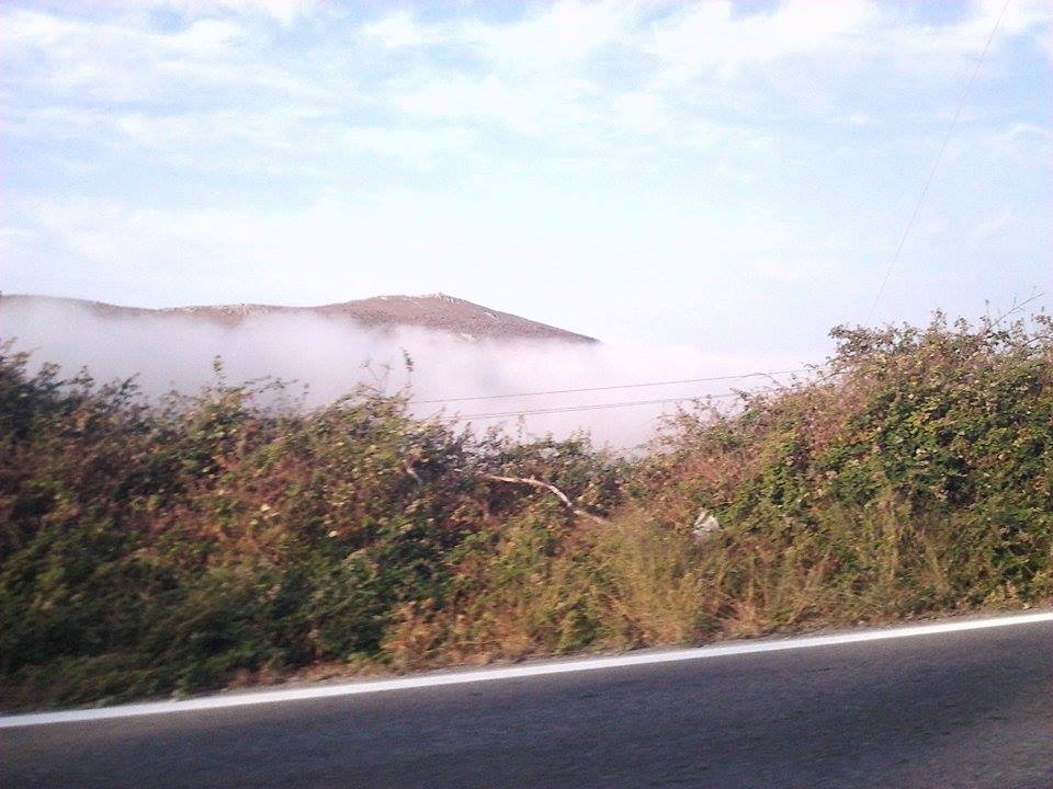 11936980 10207572161771798 1740736294 n