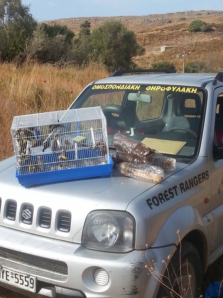 11994240 1056336341058384 192996618 n