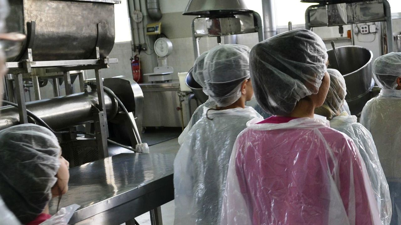 idryma-latsi-limnos-1